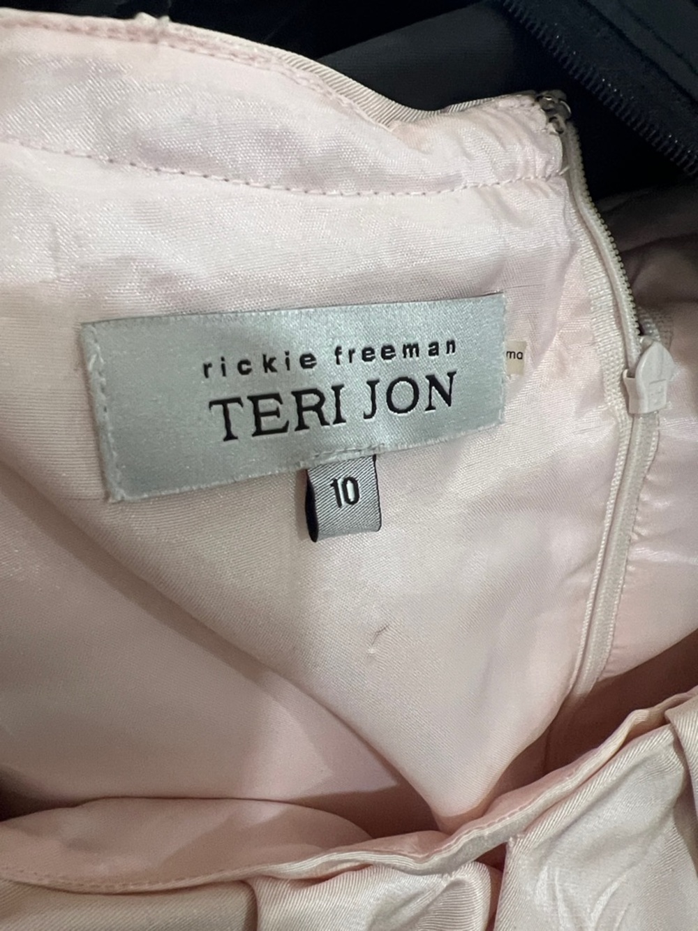 Teri Jon Light Pink Satin Dress with Label